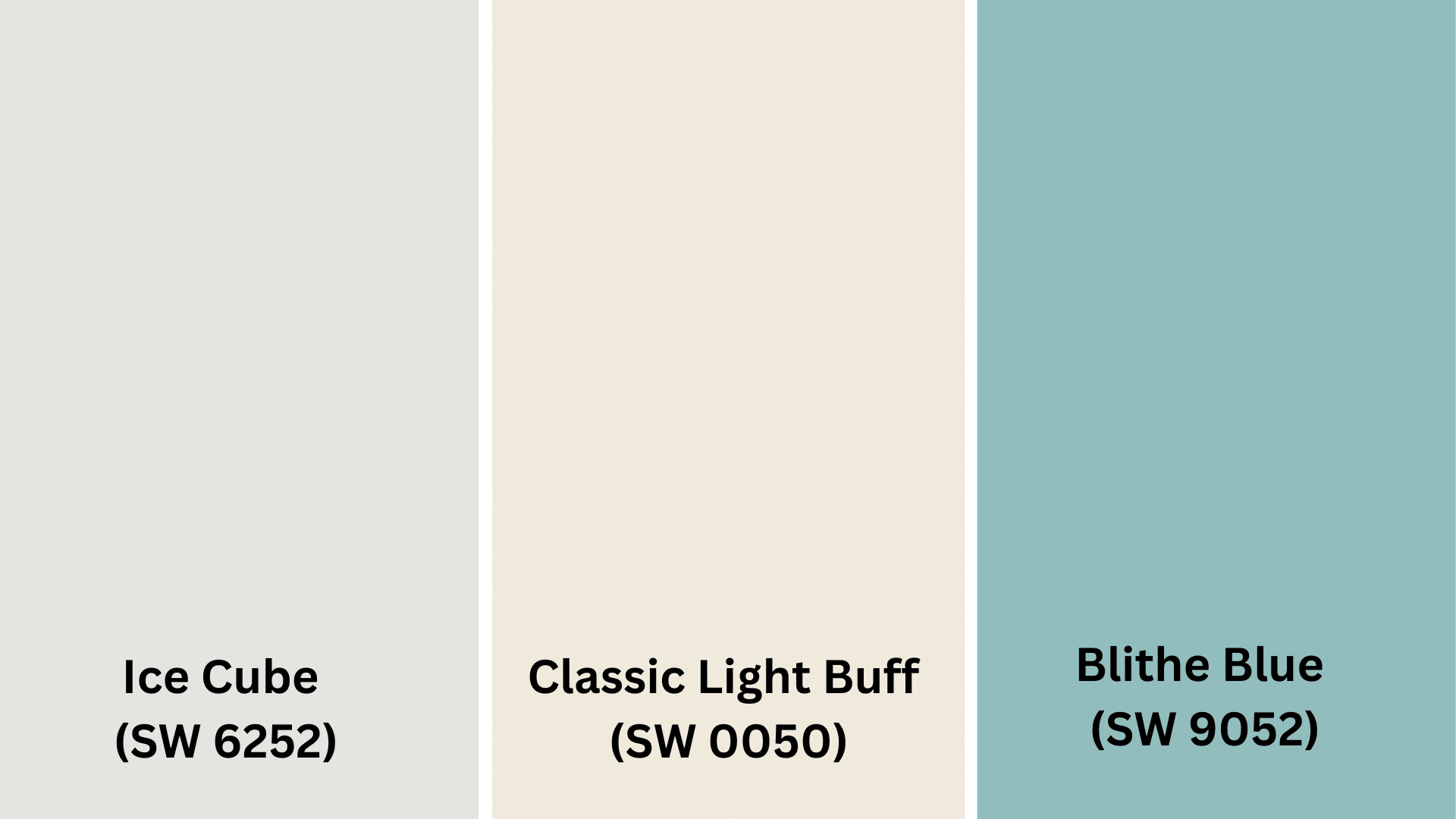 C-Color_Pairings_and_Combinations_for_Tricorn_Black_sw_6258