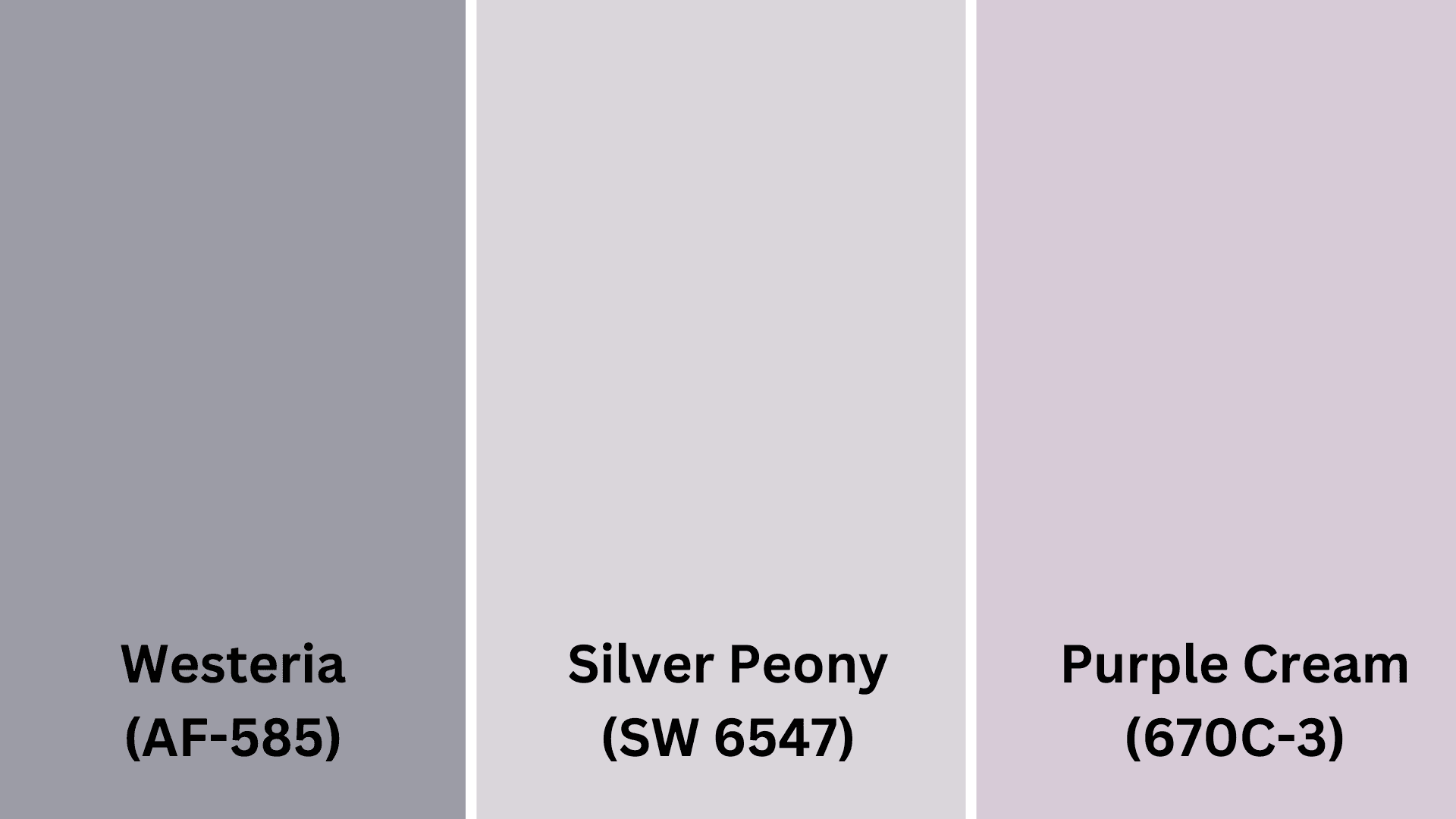 Graceful_Purple_Tones