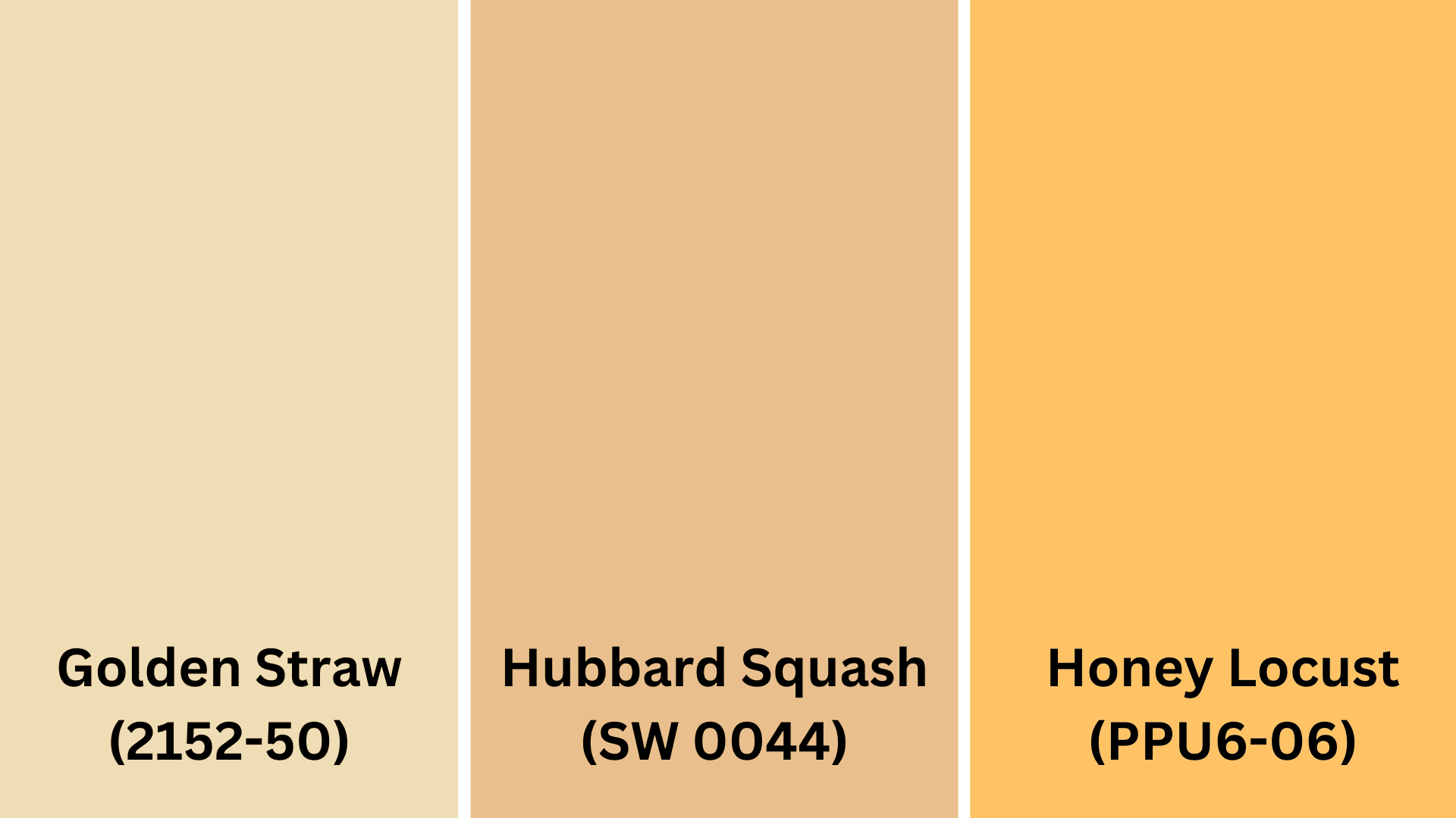 Inviting_Yellow_and_Orange_Tones