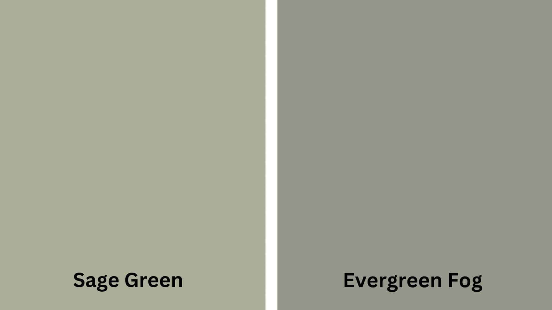 Similar_Paint_Colors_Perfect_Alternative_to_Evergreen_Fog_a