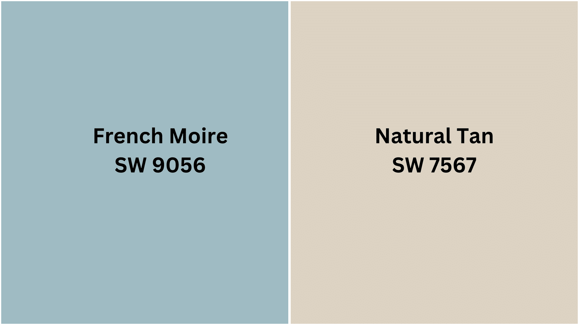 Y-Combinations_for_Westhighland_White_SW_7566