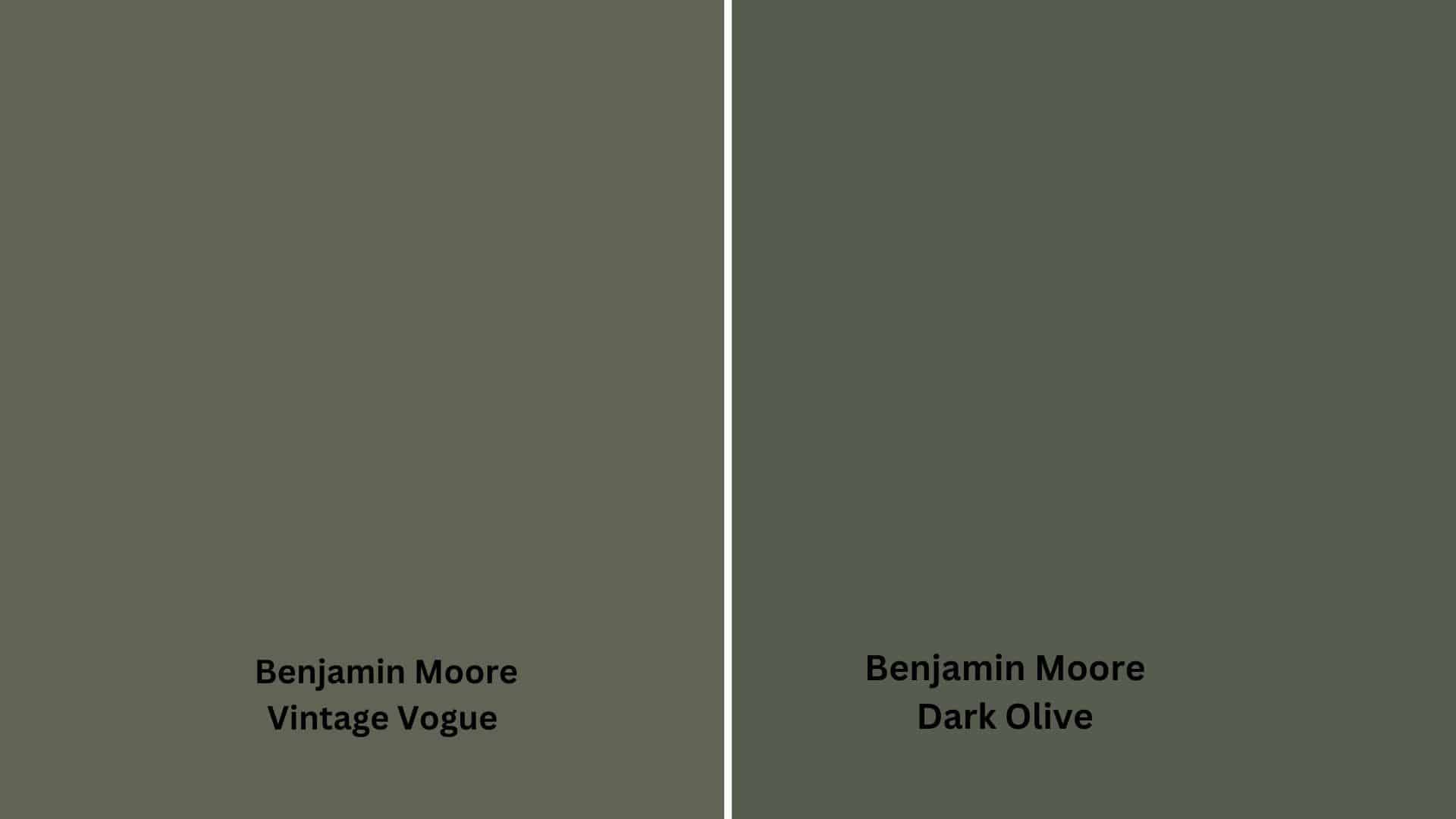 a-Similar_Paint_Colors_Perfect_Alternative_to_Dark_Olive
