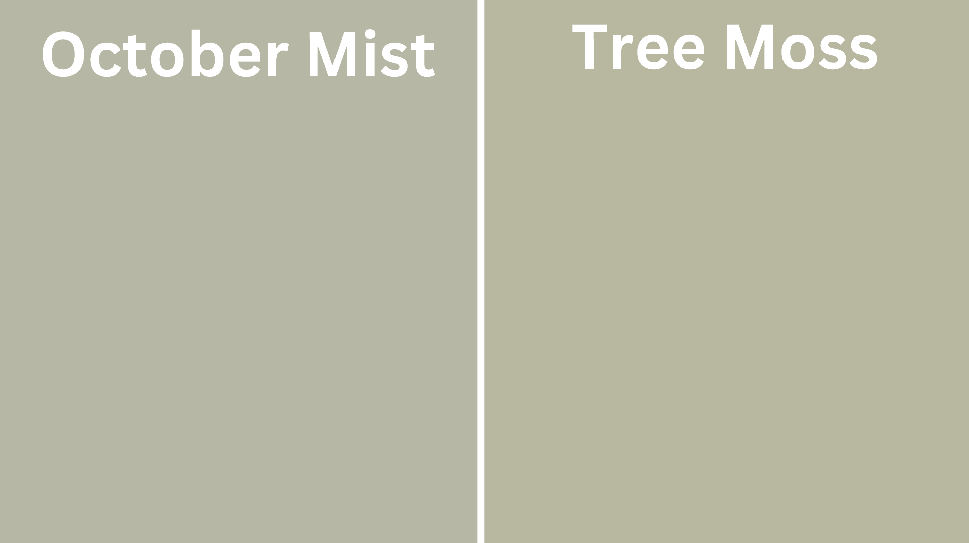 s-October_Mist_vs_Tree_Moss