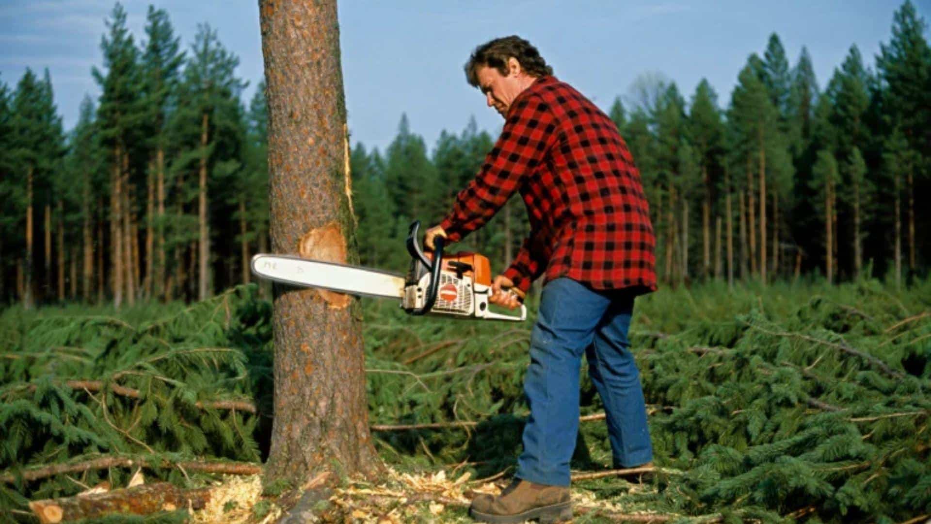 Environmental_Impact