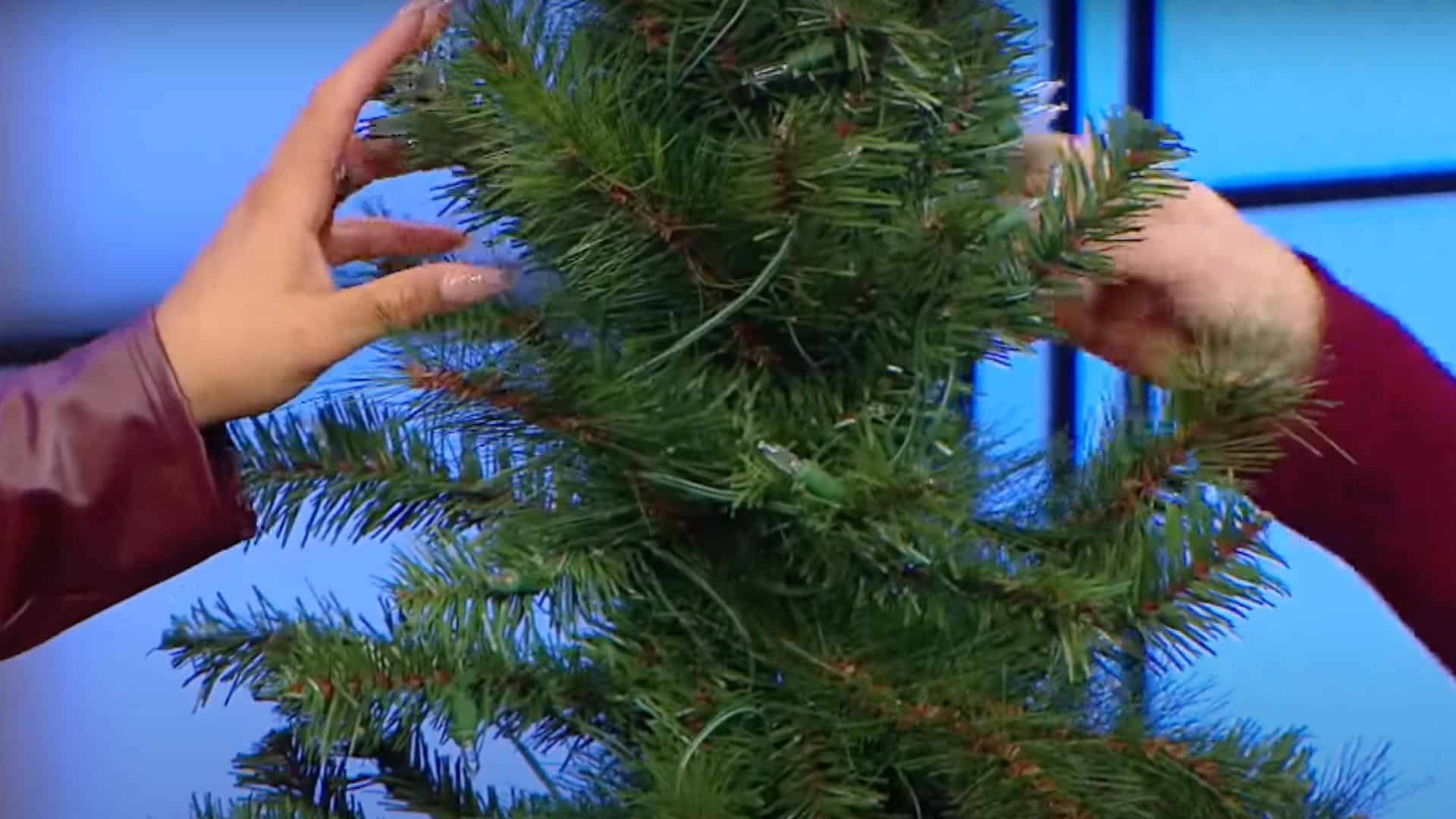 Step_1_Fluff_the_Tree