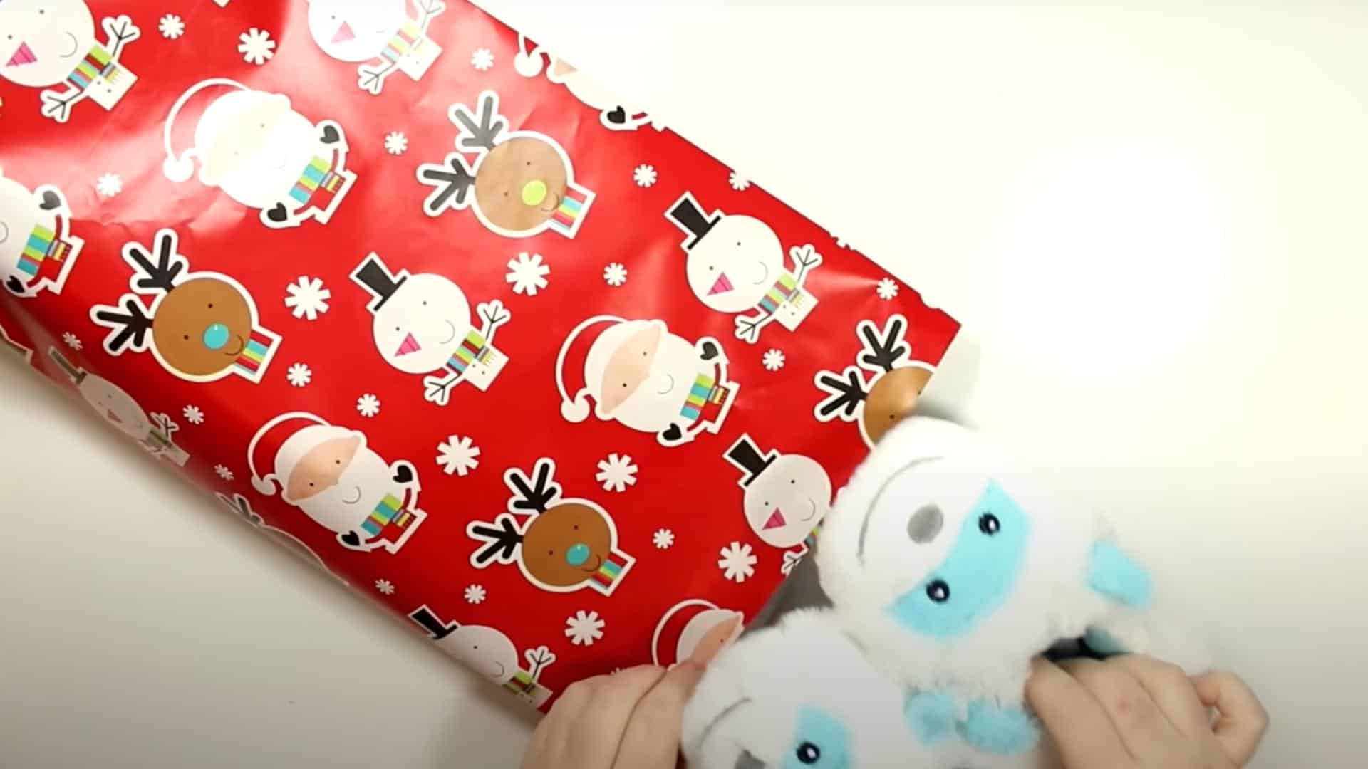 Step_4_Shape_the_Bag