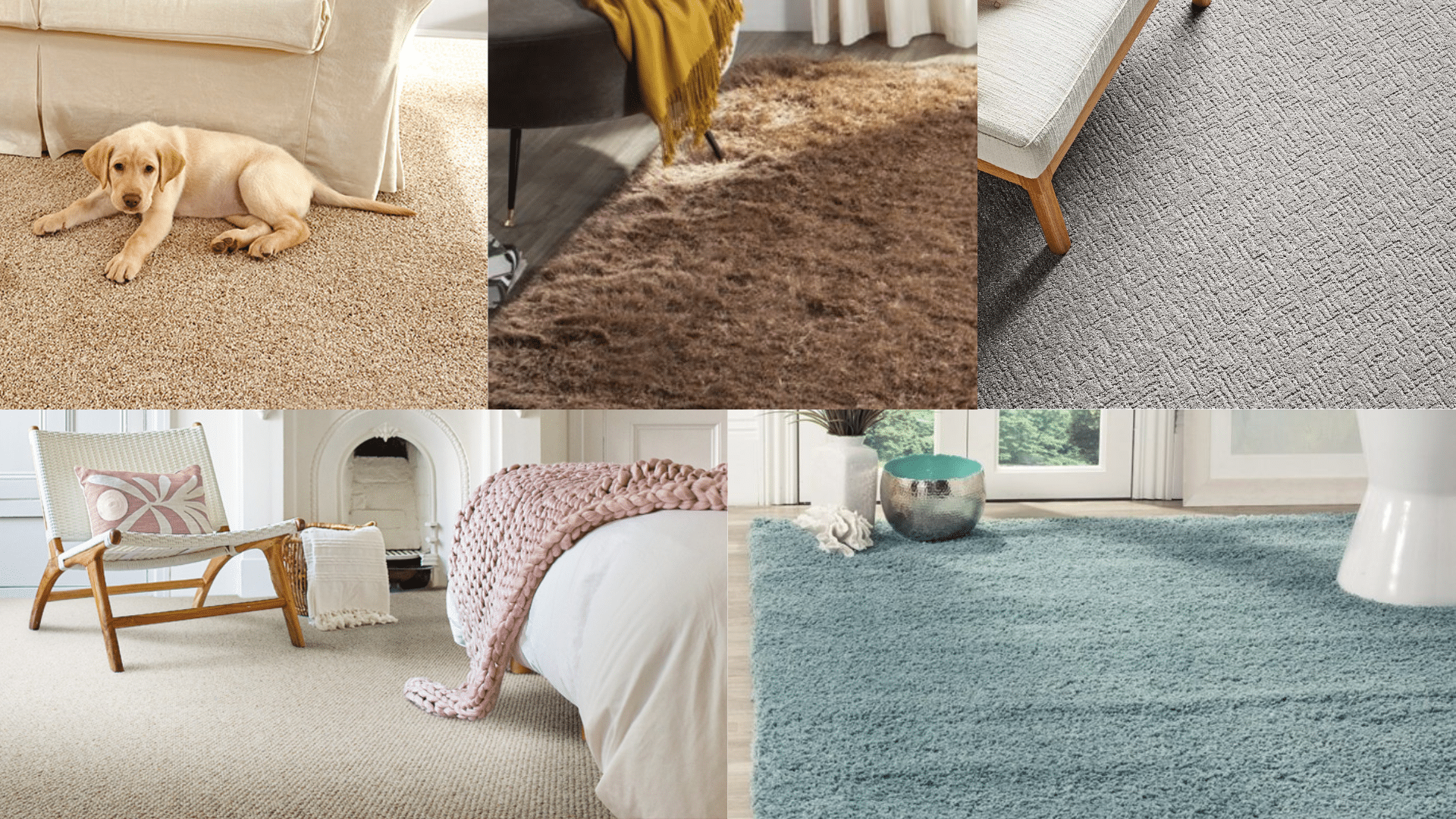 Best_Materials_for_Pet-Friendly_Carpets
